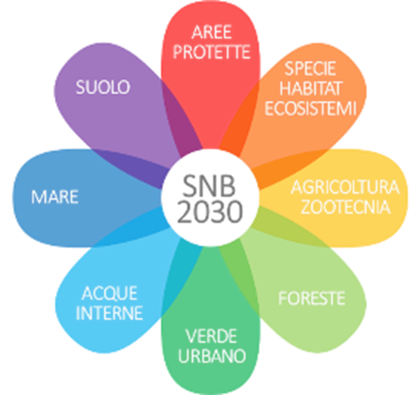 logo snb 2030